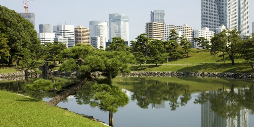 Hamarikyu-park