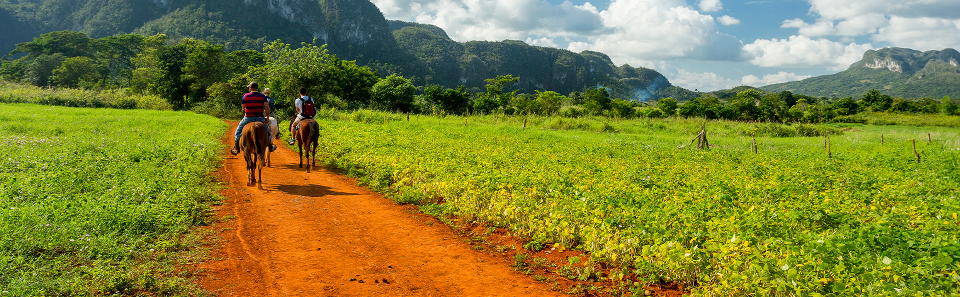 Ridning i Vinales, Cuba