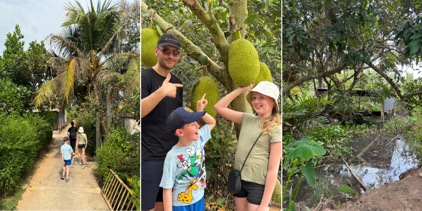 Naturoplevelser i området