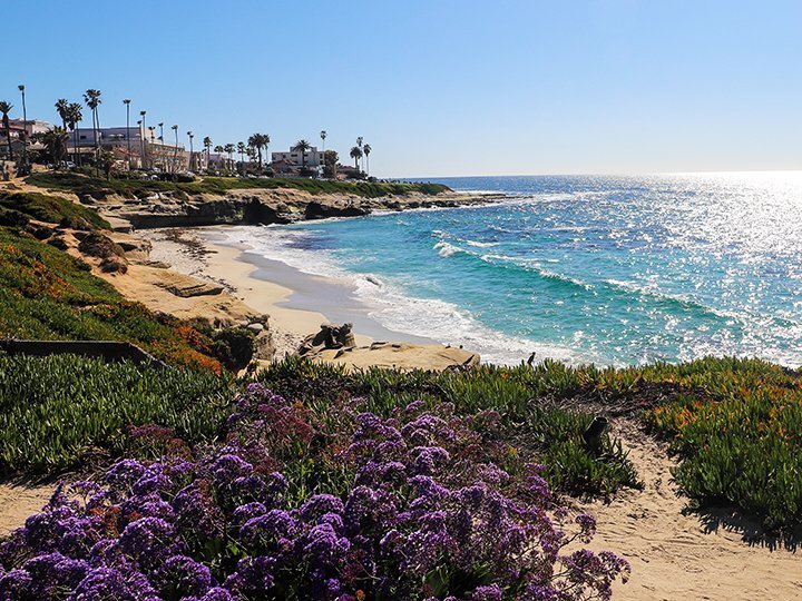 Solskin over strand i San Diego