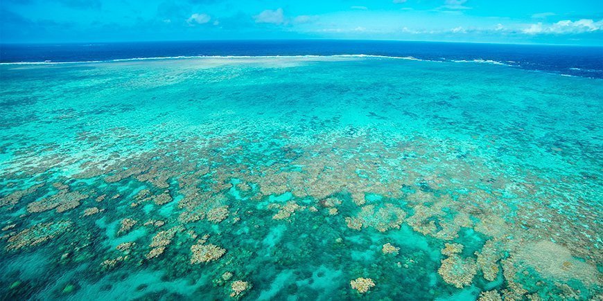 Udsigt over Great Barrier Reef nær Cairns i Australien