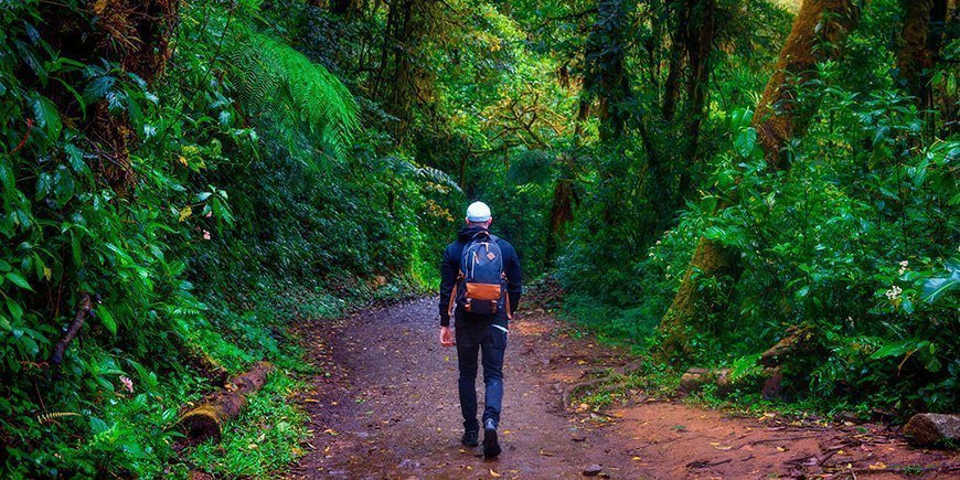 Mand går på sti i Monteverde i Costa Rica