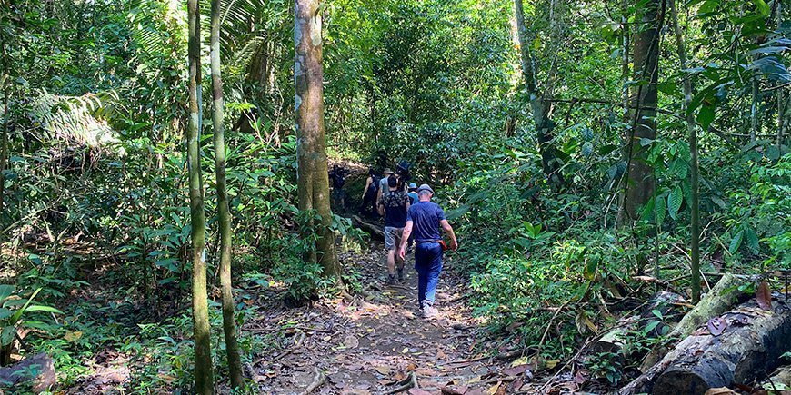 En gruppe folk vandrer i Corcovado Nationalpark i Costa Rica