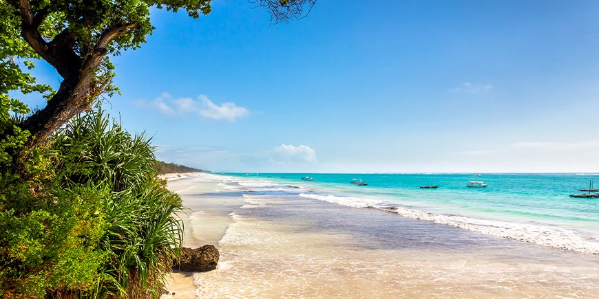 Smukke Diani Beach, der ligger syd for Mombasa