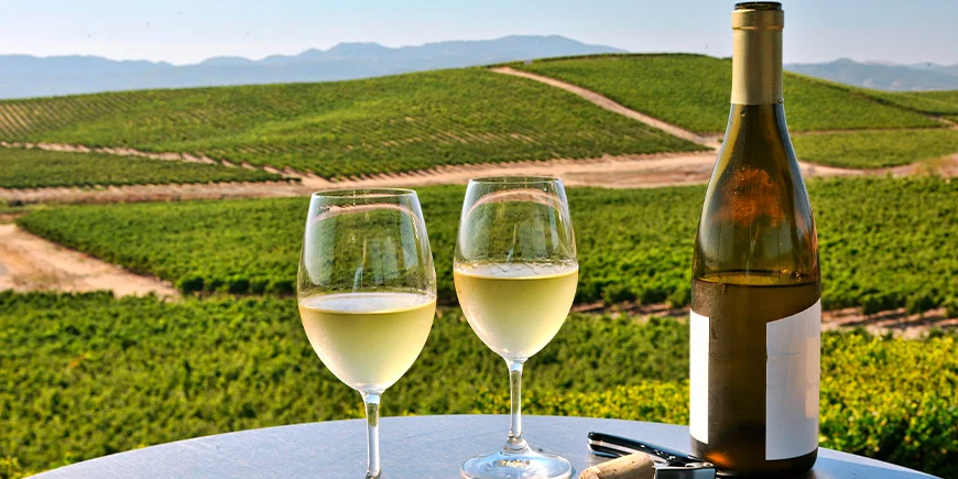 To glas vin med udsigt til Napa Valley