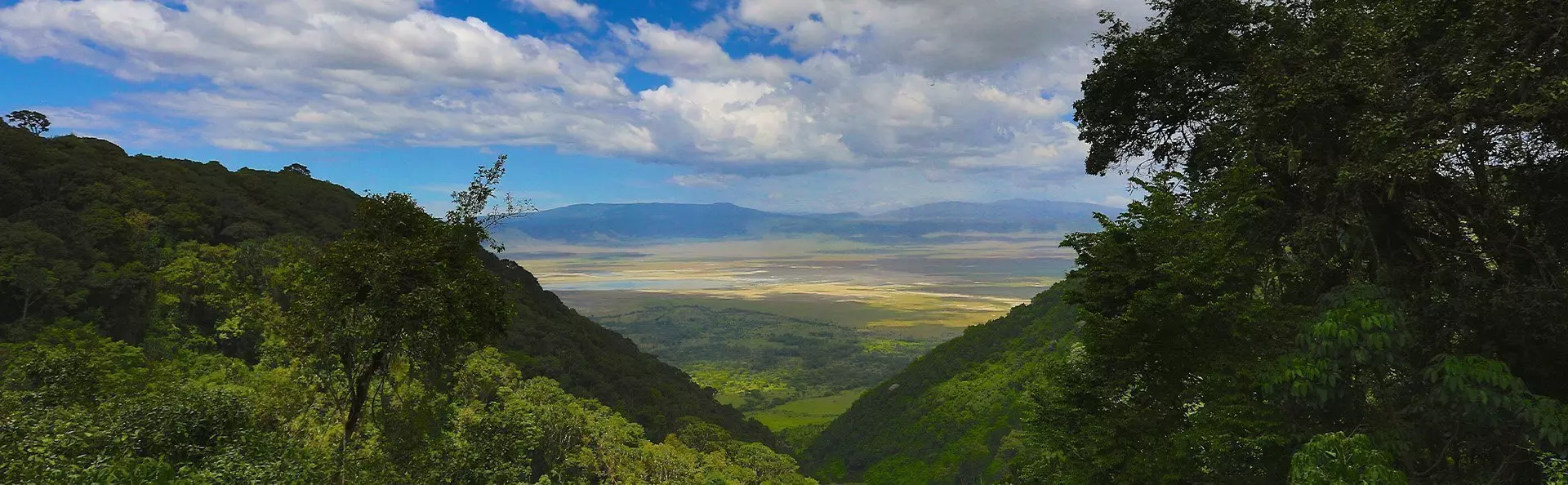 Oversigtsbillede fra Ngorongoro i Tanzania