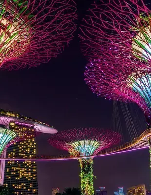 Supertræ i Singapore om natten
