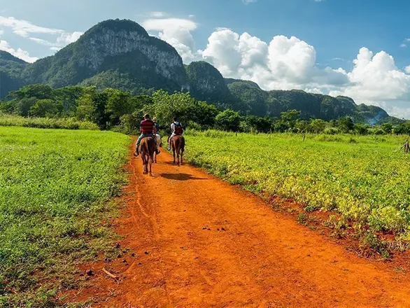 Ridning i Vinales, Cuba