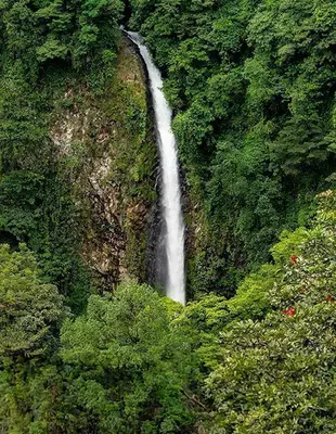 Udsigt over La Fortuna-vandfaldet, Costa Rica